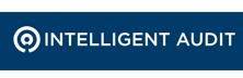 Intelligent Audit
